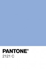 PANTONE 2121 C