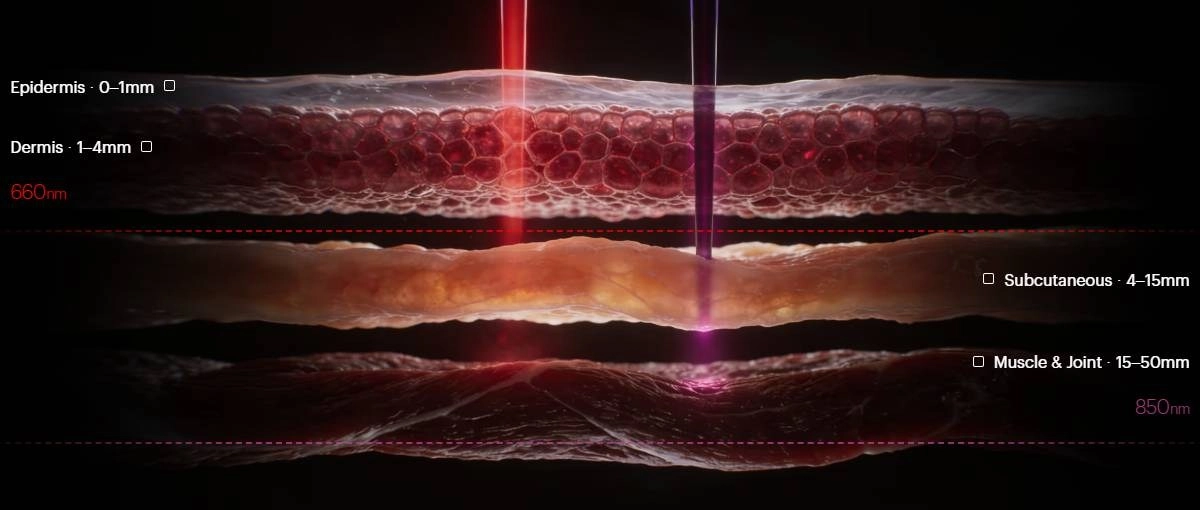 Red light therapy penetration depths on skin layers.