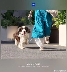 vivo X Fold6 dog teleconverter shot