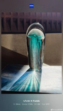 vivo X Fold6 teleconverter photo of glass jellyfish.
