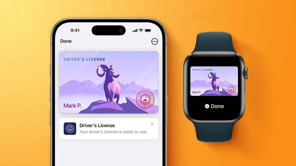 iPhone and Apple Watch display digital driver's licenses.