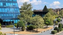 Tech article image
