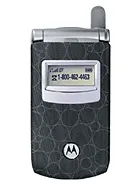 Motorola T725 image
