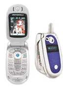 Motorola V303 image