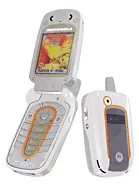 Motorola V501 image