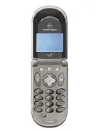 Motorola V66 image