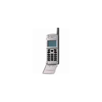 Samsung SGH-2400