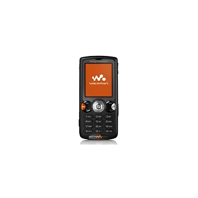 Sony Ericsson W810