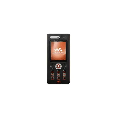 Sony Ericsson W888
