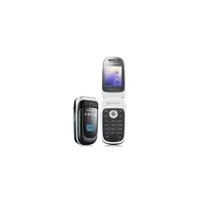 Sony Ericsson Z310